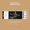 Editable Concert Ticket Template (Canva)